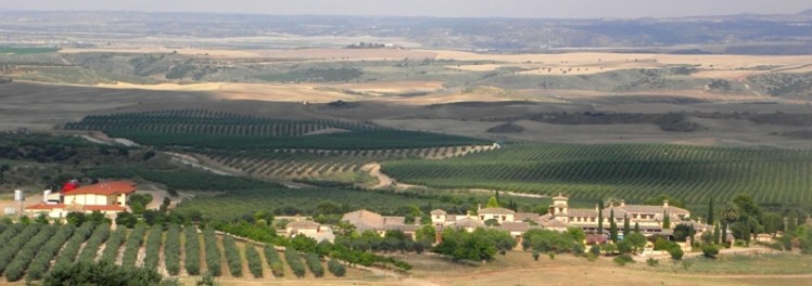 miercoles CASAS DE HUALDO ALMAZARA