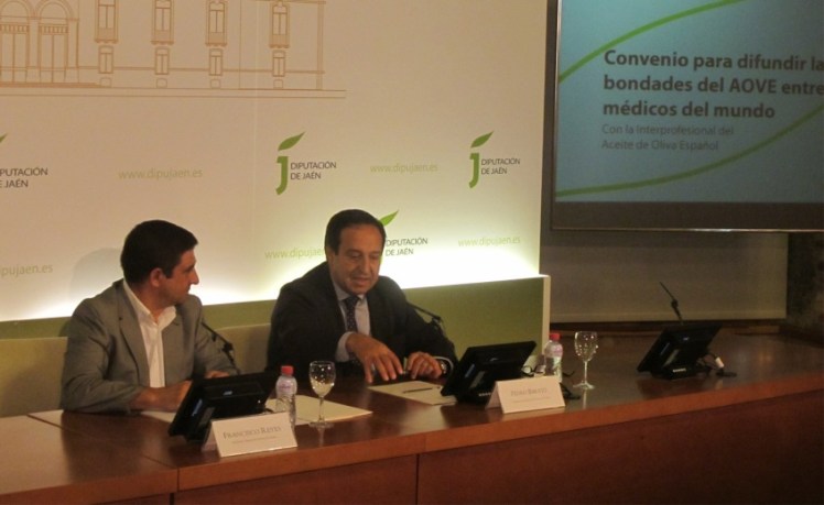 dip jaen e interprofesional