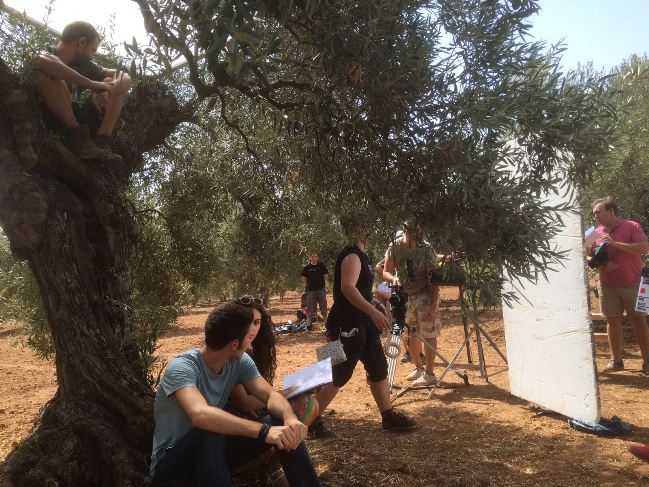 entreolivos-5