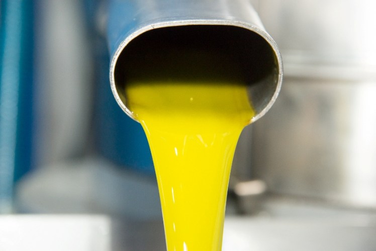 italia y estados unidos