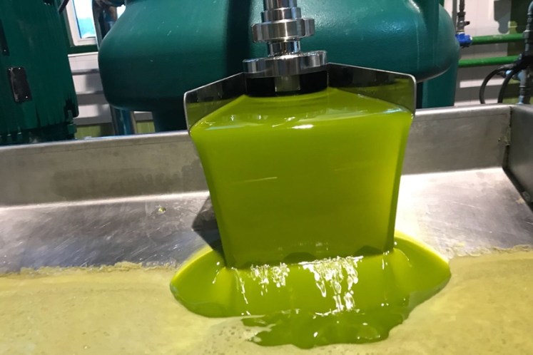 Puerta de las Villas Cosecha Temprana