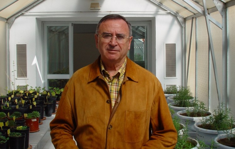 MICORRIZAS josé miguel barea