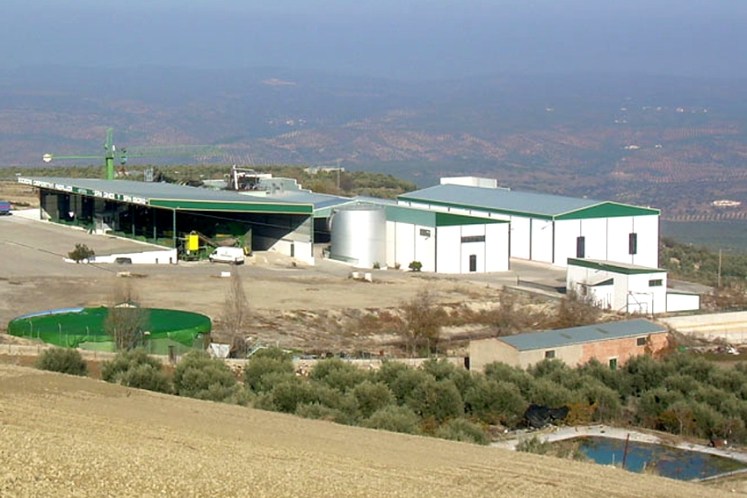 Interoleo SCA San Ginés y San Isidro Sabiote