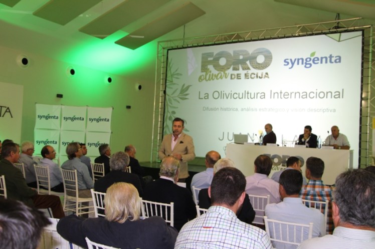 foto olivar syngenta