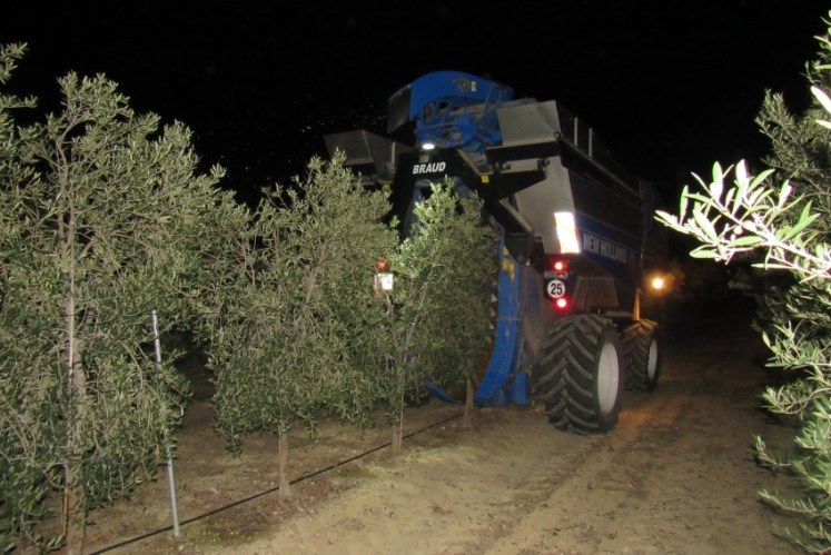 oleoalmanzora Cami+¦n Cosechadora