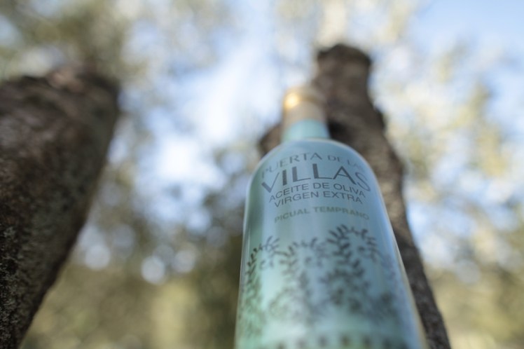 PUERTA DE LAS VILLAS