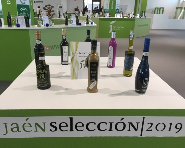 programa jaen