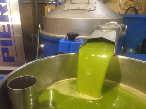 Dominus Cosecha Temprana centrifuga vertical