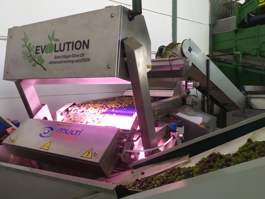 Castillo De Canena Y Multiscan Technologies Presentan Evoolution