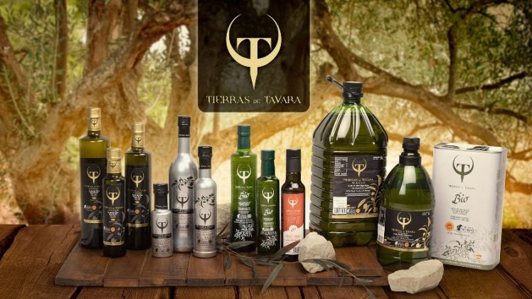 Olive tree with table