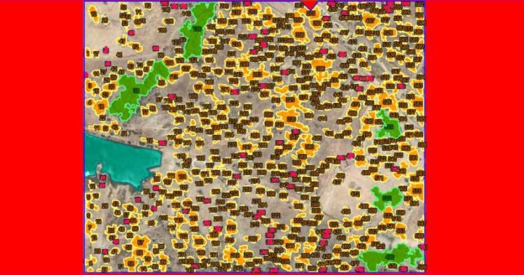 teledeteccion olivar foto