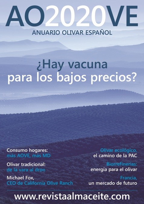 01 portadaAOVE2020 copiar