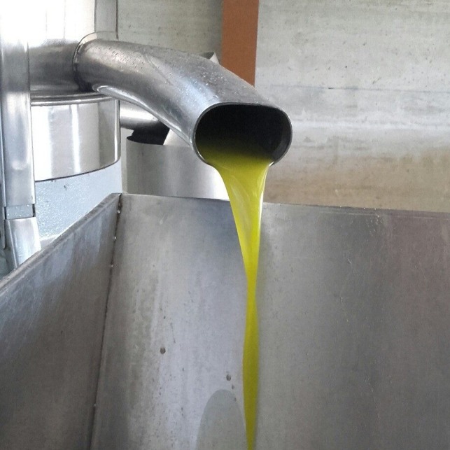 nutroleum