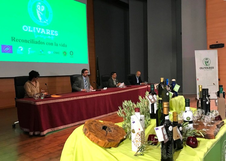 olivares vivos